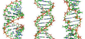 Νεα τεχνική τροποποίησης του DNA ανοίγει το δρόμο σε μια νέα εποχή στη γενετική